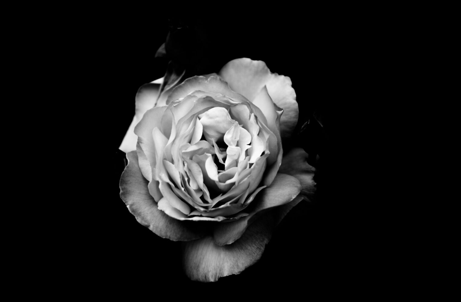 Black and White Photography